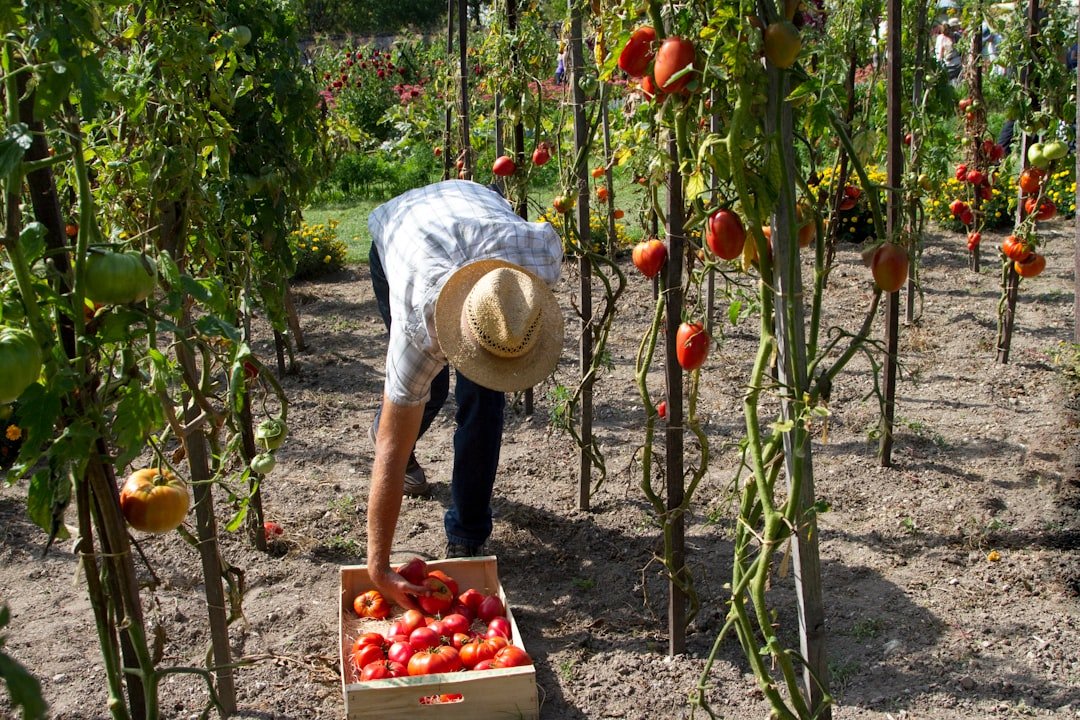 Photo Farm workers