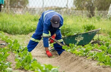 Photo Farm workers